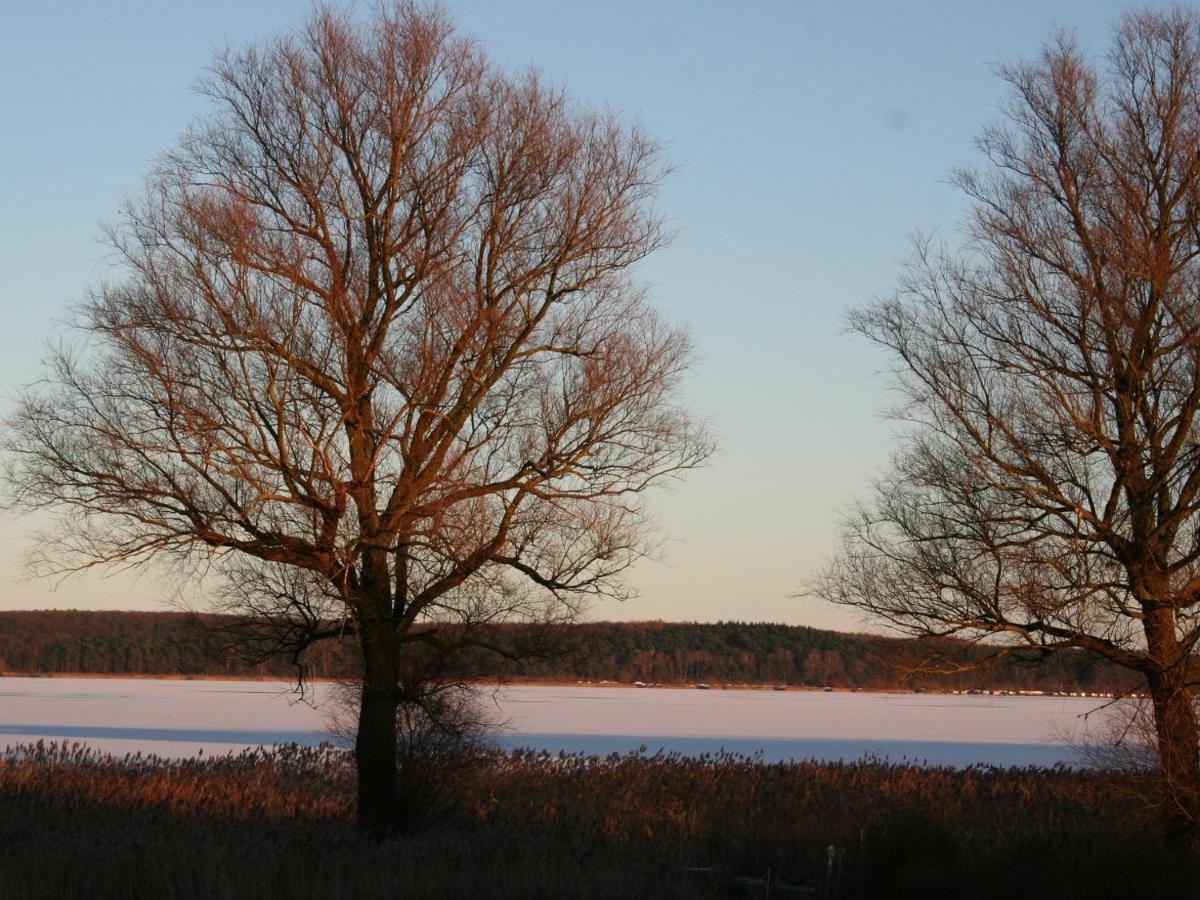 Apartmán Ilonas Seeblick Plau am See Exteriér fotografie